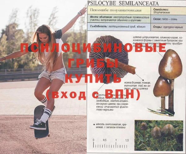 бутик Вязьма