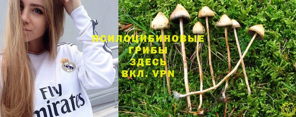 кристаллы Магас