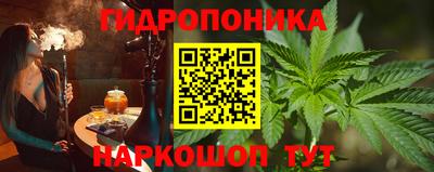 apvp Дубна