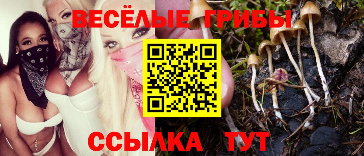 Каннабис Муравленко