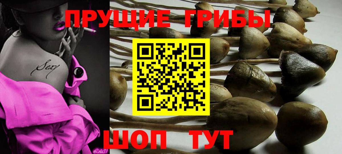 Галлюциногенные грибы MAGIC MUSHROOMS Муравленко