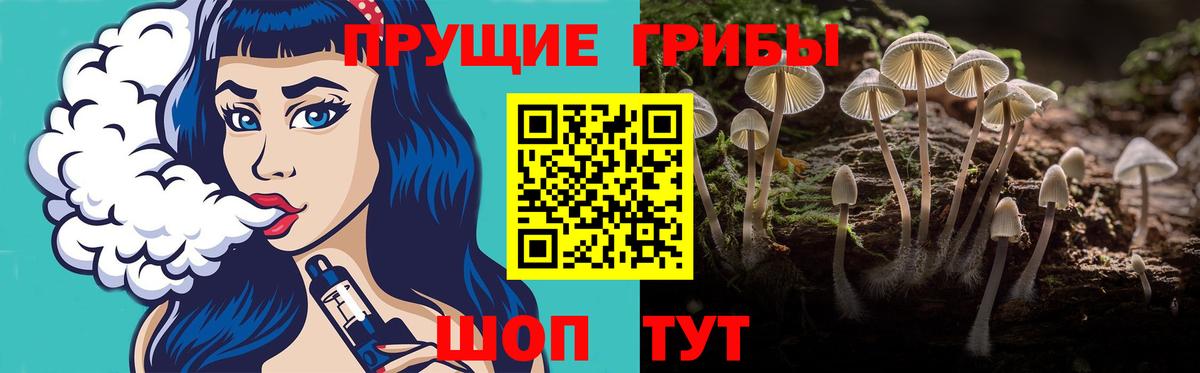 Муравленко  Псилоцибиновые грибы ЛСД  Вход с VPN 